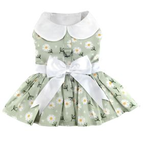 Mint Green Daisy Dog Dress with Matching Leash (size: large)
